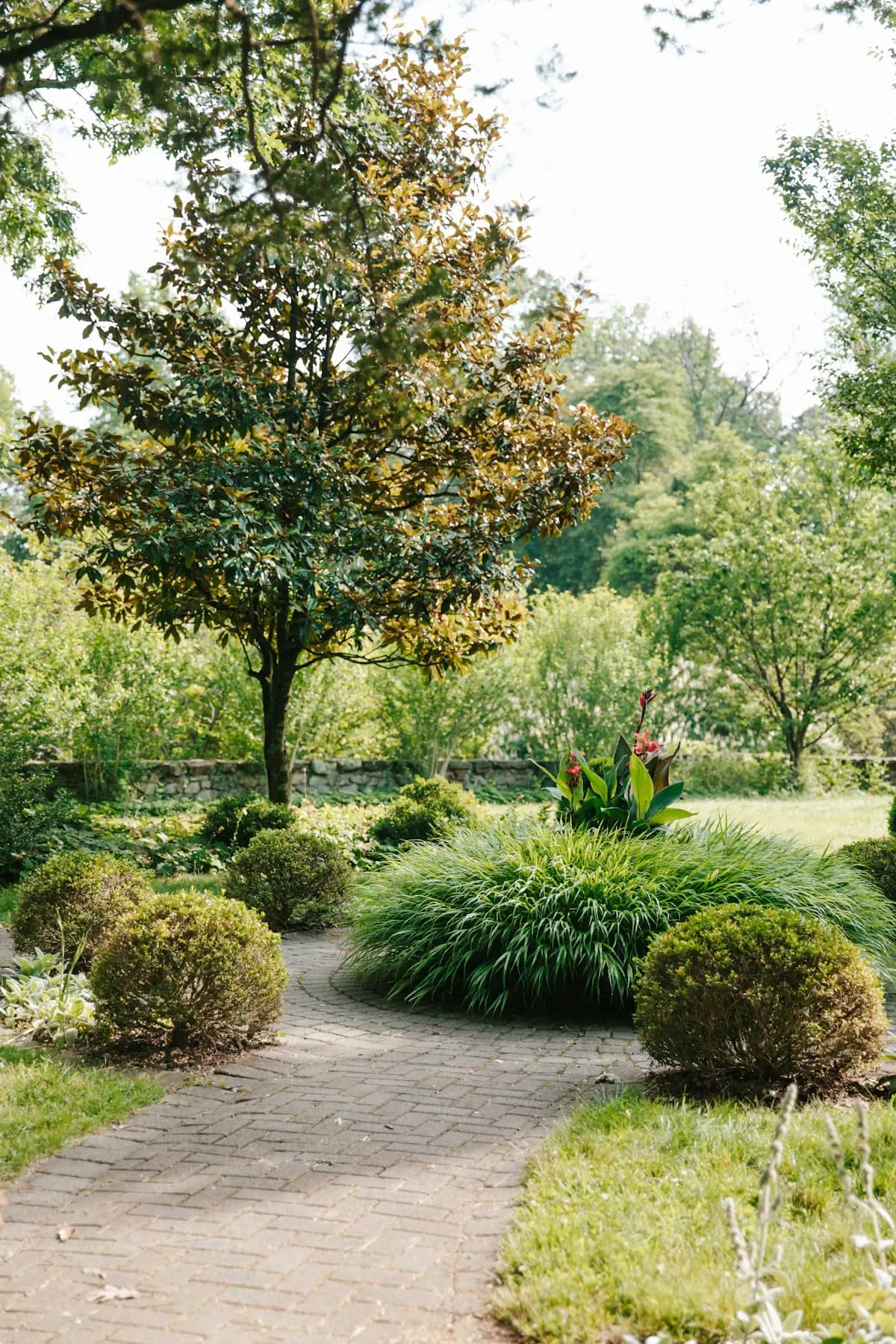 Garden path curving between trees and planted beds